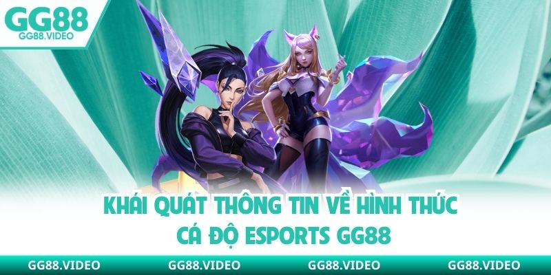 Khái quát thông tin về hình thức cá độ esports GG88