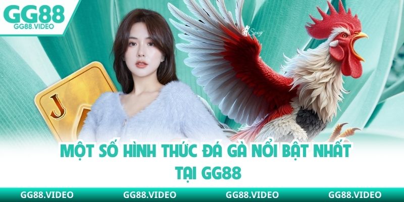 Một số hình thức đá gà nổi bật nhất tại GG88